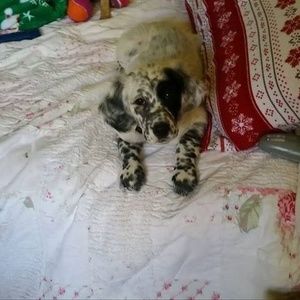 Meet your Posher, Mary helen